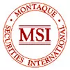 Montaque Securities International Ltd firm logo